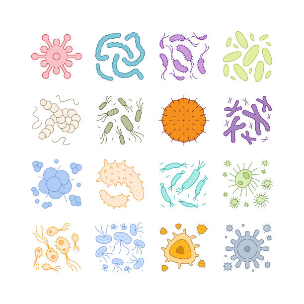 virus, bakterien, keime und mikroben, vektor-symbol - prison cell illustrations stock-grafiken, -clipart, -cartoons und -symbole