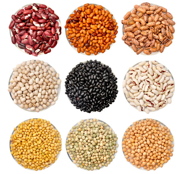 istock Colored beans. Variations and mix food 1208535059