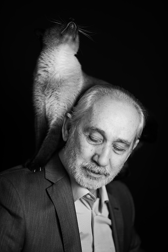 Headshot of cheerful and calm handsome bald and bearded senior man with siamese cat