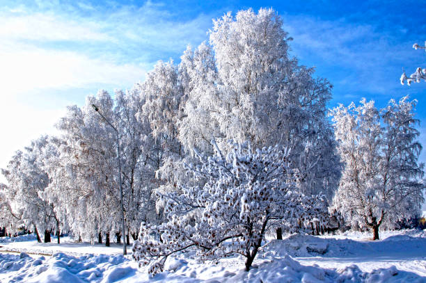 istock Winter fairy tale with shades from white till deep blue. 1208536857