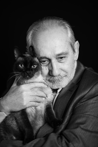 Headshot of cheerful and calm handsome bald and bearded senior man with siamese cat