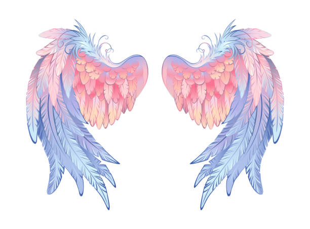 Delicate angel wings Artistically drawn angel wings, delicate pink and blue on white background. Angelic wings. angels tattoos stock illustrations