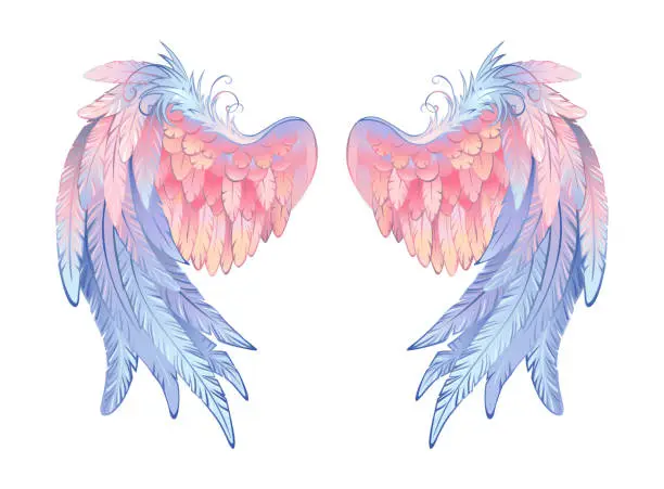 Vector illustration of Delicate angel wings