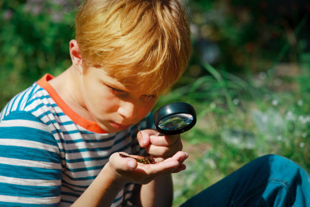 istock kids learning - little boy exploring dragonfly with magnifying glass 1208539904