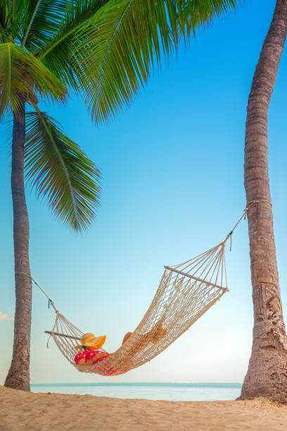istock Young girl resting in a hammock under tall palm trees, tropical beach 1208539919