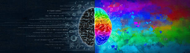 the difference in the work of the right and left hemispheres of the brain. analytical thinking versus abstract. - cérebro ilustrações imagens e fotografias de stock