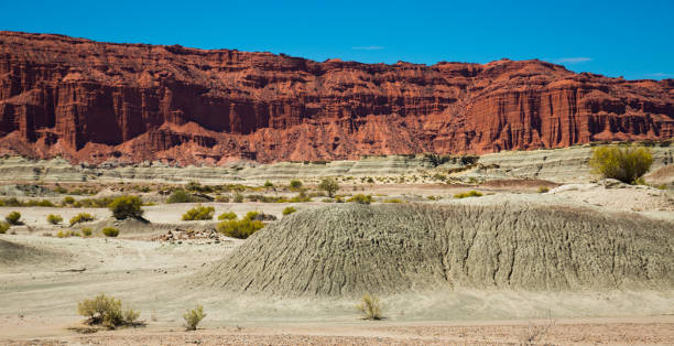 istock Mountainous landscape in Ischigualasto Provincial Park 1208548793