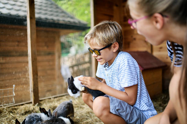 istock Kids playing with bunnies 1208553960