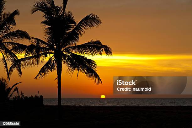 Tramonto Sulloceano - Fotografie stock e altre immagini di Albergo - Albergo, Albero, Albero tropicale