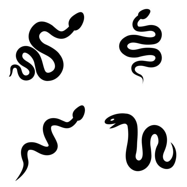 змея значок, логотип изолированы на белом фоне - cobra snake poisonous organism reptiles stock illustrations