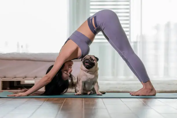 Photo of woman practice yoga Downward Facing dog with dog