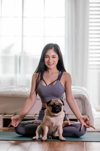 istock woman practice yoga with dog pug breed 1208572309