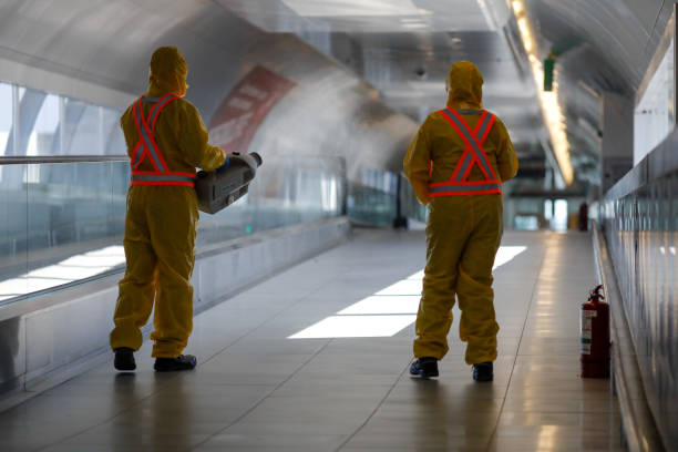 People wearing protective suits spray disinfectant chemicals on the Henri Coanda International Airport to prevent the spreading of the coronavirus. Otopeni, Romania - February 25, 2020: People wearing protective suits spray disinfectant chemicals on the Henri Coanda International Airport to prevent the spreading of the coronavirus. bucharest people stock pictures, royalty-free photos & images