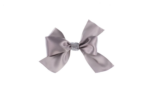 istock chocolate bow ribbon isolated on white background 1208573760