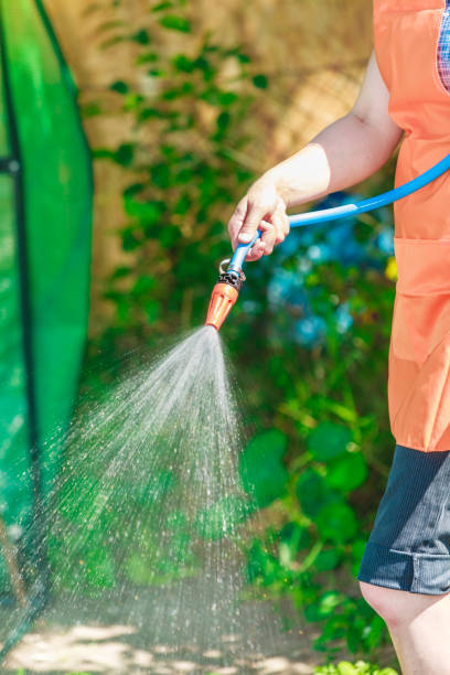 istock Working watering garden from hose 1208575253
