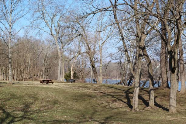 istock Picnic Area near the River 1208577075