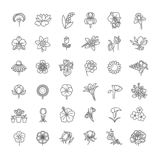 ilustraciones, imágenes clip art, dibujos animados e iconos de stock de conjunto de icono floral en diseño plano - florist flower gardening store