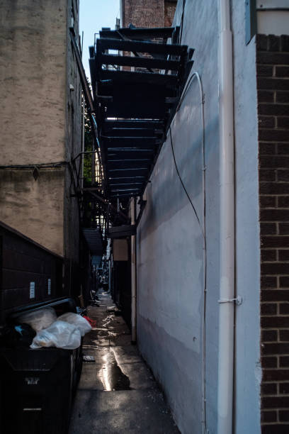 istock Alleyway With Rubbish Bin and Puddle 1208580522