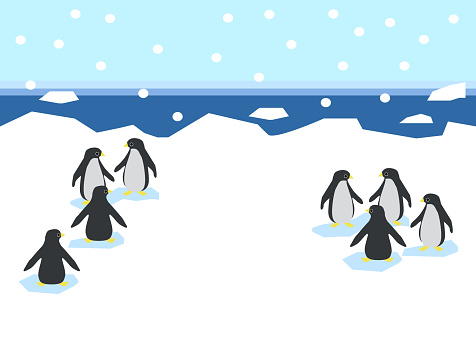 Ice World Penguin Illustration Stock Illustration - Download Image Now -  Advertisement, Animal, Animal Family - iStock