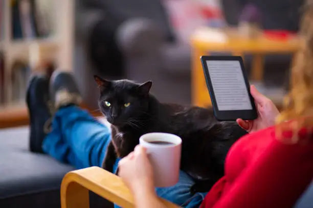 Woman sitting on a couch with her cat and using a chroma key screen tablet computer.
