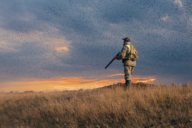 un cazador con un arma en las manos en la caza de ropa en el bosque de otoño en busca de un trofeo. un hombre está de pie con el arma. - rifle shotgun hunting camouflage fotografías e imágenes de stock