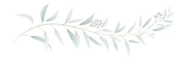 Vector illustration of Watercolor eucalyptus leaves and branches
