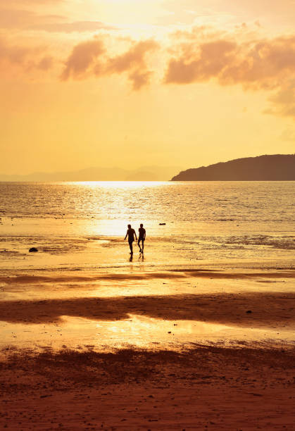 Silhouette of two people walking on sunset sea shore, rear view