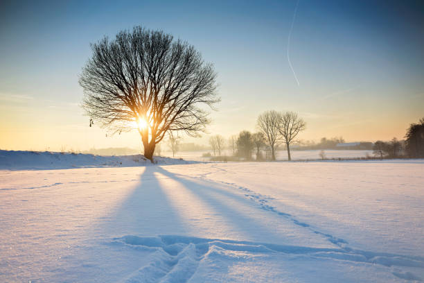 Winter landscape in Polish field