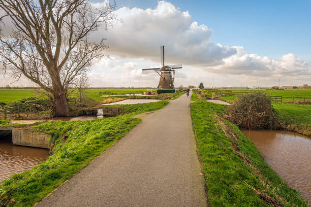 country road with cyclist and mill in dutch polder - alblasserwaard imagens e fotografias de stock