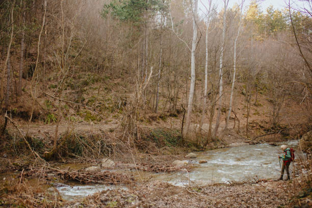 Senior woman hiking trough forest