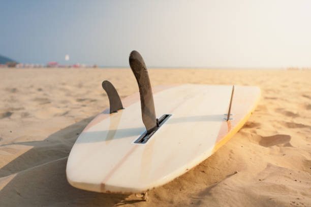 istock A longboard lying in the sand by the beach 1208599535