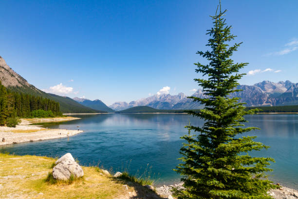 istock Lake in Kanaskis Country, Banff, Alberta, Canada 1208600132