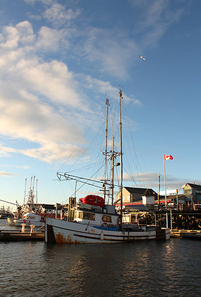 istock Steveston Harbor, Fisherman's Wharf vertical 120860197