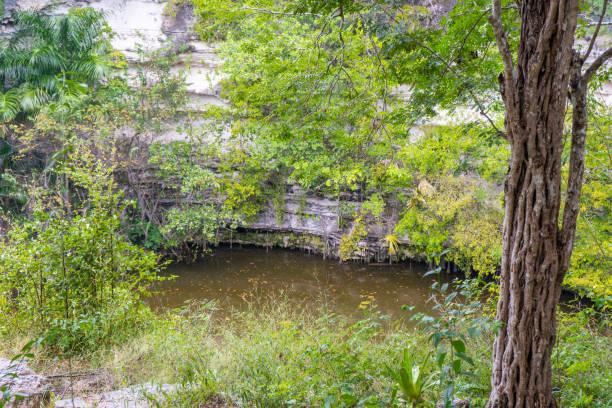 istock Sacred Cenote. Chichen Itza archaeological site. Ancient maya civilization. Travel photo or wallpaper. Yucatan. 1208602015