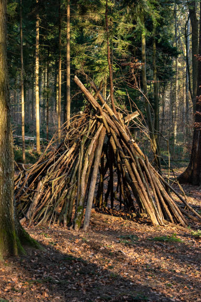 istock Camping hut made out of tree branches in a Swiss forest sunny Spring afternoon 1208604426