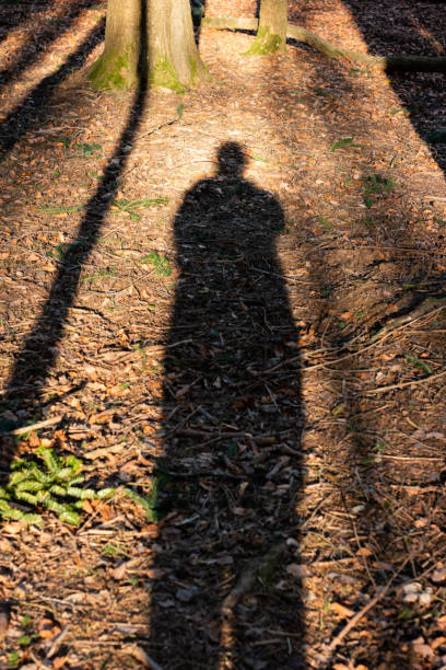 istock Human shadow cast by the Sun in a Swiss forest late Spring afternoon 1208604434