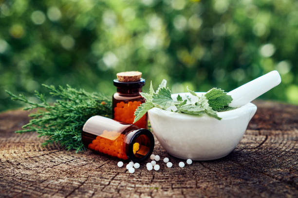 Bottle of homeopathic globules, mortar of green nettle and mint leaves, juniper twigs. Homeopathy medicine remedies. Selective focus. stock photo