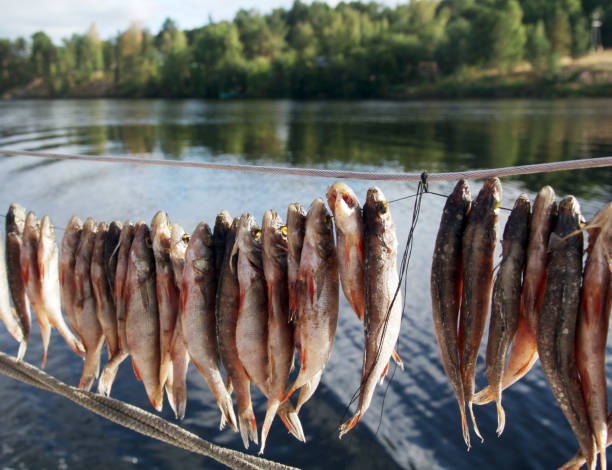 istock Fresh fish is drying in the sun on a string on the yacht board and waves at background 1208607109