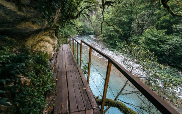 przyroda parku narodowego soczi w pobliżu morza czarnego. drewniany szlak nad kanionem z turkusową wodą. turystyka w regionie krasnodar, południowa rosja. - sochi hill tree wet zdjęcia i obrazy z banku zdjęć