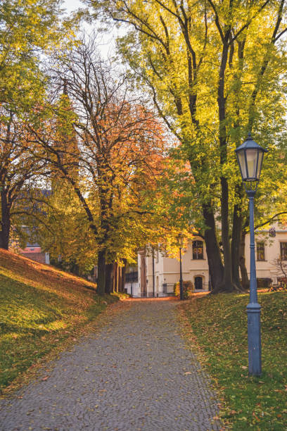 istock Colorful leaves at autumn walk on hill 1208609795