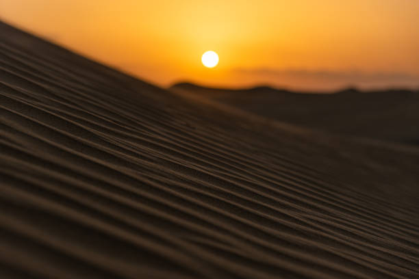 istock Sunset in the Arabian desert 1208609870