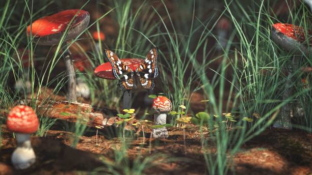 istock Summer Butterfly on the mushroom in the Forest 1208610464