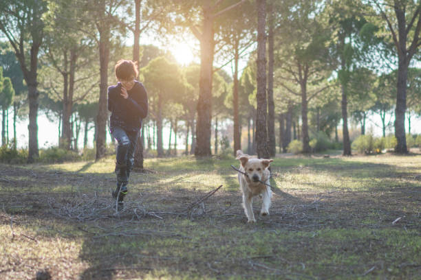istock Boy with dog, running in the autumn forest 1208612001