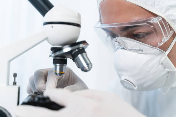 istock Close up of serious practitioner that doing expertise 1208614385