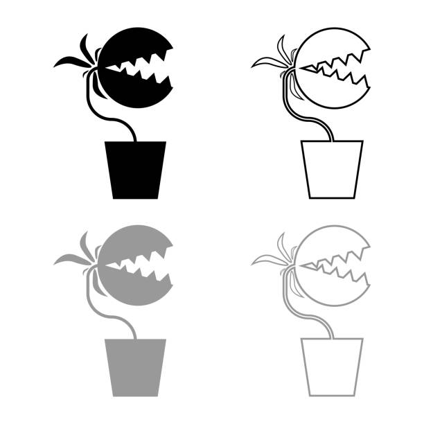 illustrazioni stock, clip art, cartoni animati e icone di tendenza di pianta carnivora flytrap monster con denti in pentola icona contorno impostare nero grigio colore vettoriale illustrazione immagine in stile piatto - carnivore