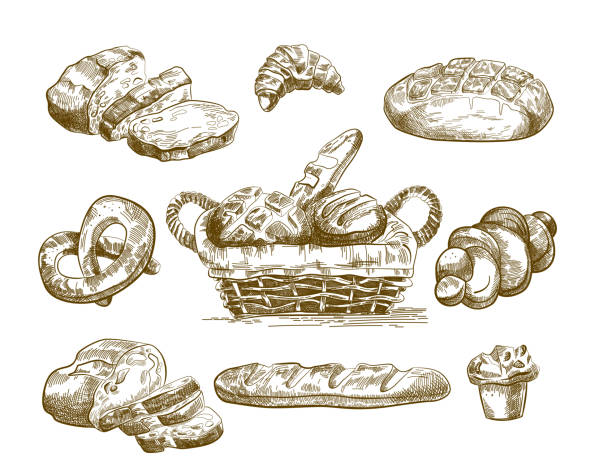 ilustraciones, imágenes clip art, dibujos animados e iconos de stock de bocetos de productos horneados dibujados a mano - pretzel sesame vector snack