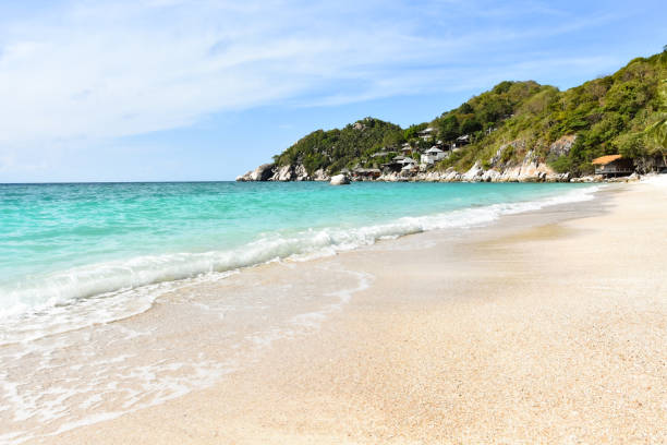 istock On the Rock Beach on Ko Tao Island 1208617593