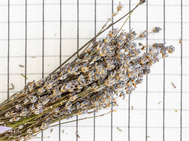 istock Bouquet of dried lavender on the tablecloth 1208620338