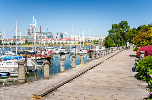Boardwalk along a harbor with moored yachts on a clear summer day. Modern residential buildings are visible in background. Victoria, Bc, Canada.