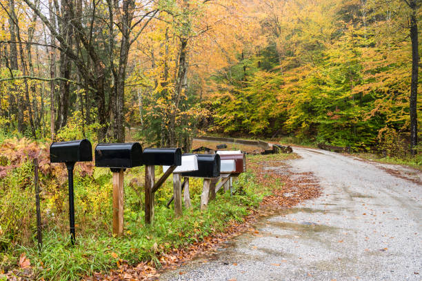 rząd metalowej skrzynki pocztowejsdrogie wzdłuż leśnej drogi jesienią - mailbox multi colored mail usa zdjęcia i obrazy z banku zdjęć